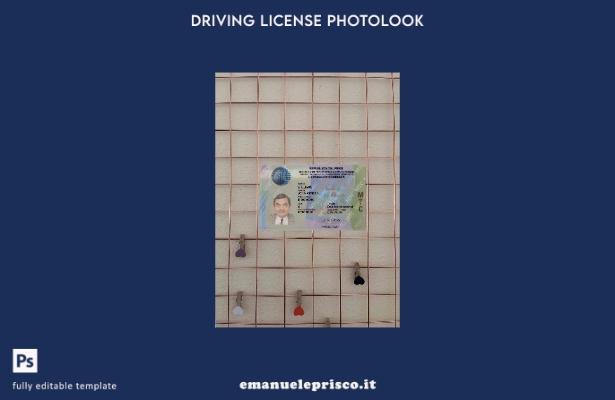 modello FRONTALE photolook della patente di guida del Perù in stile verificato